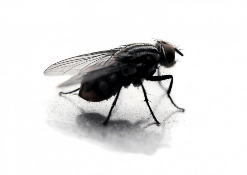 Swipe To View More Images
